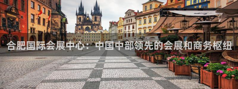 果博公司开户热线：合肥国际会展中心：中国中部领先的会展和商务枢纽