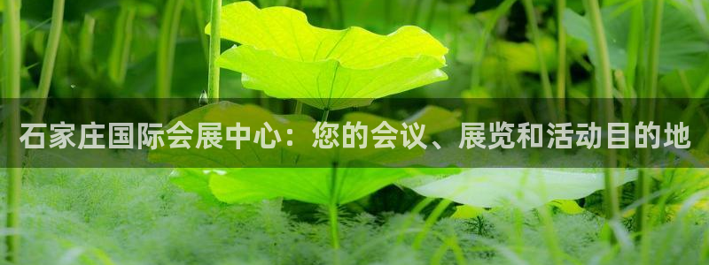 果博公司会员注册账号开户：石家庄国际会展中心：您的会议、展览和活动目的地
