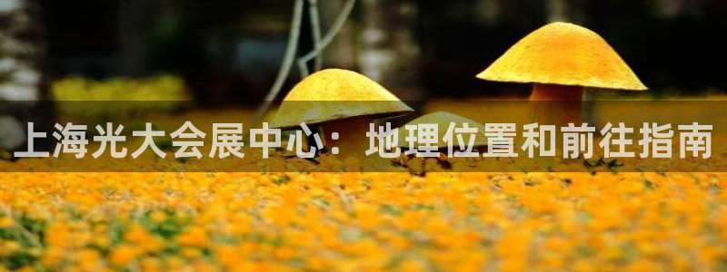 果博注册平台怎么注册的