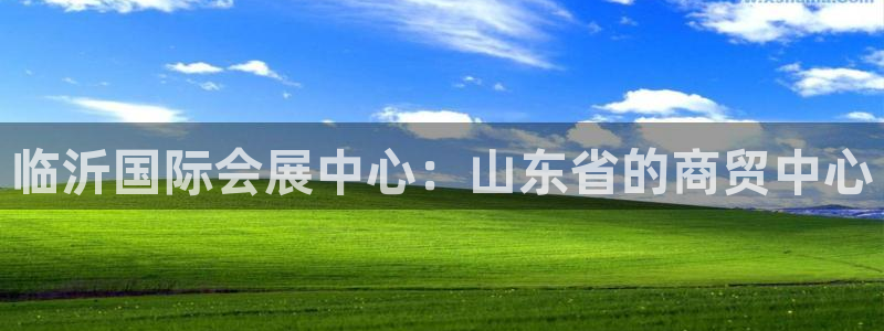 果博平台链接：临沂国际会展中心：山东省的商贸中心