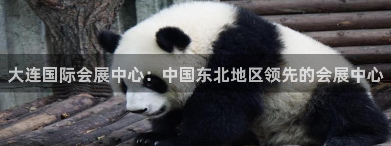 果博官网客服：大连国际会展中心：中国东北地区领先的会展中心