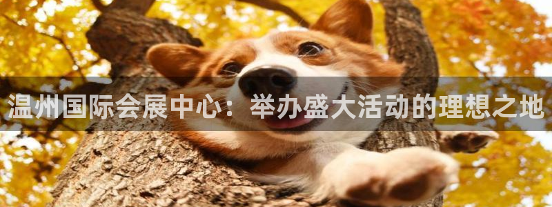 果博公司联系方式：温州国际会展中心：举办盛大活动的理想之地