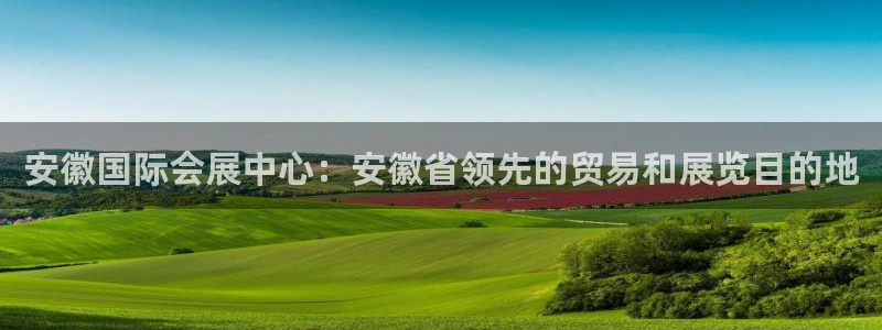 果博公司怎么开户：安徽国际会展中心：安徽省领先的贸易和展览目的地