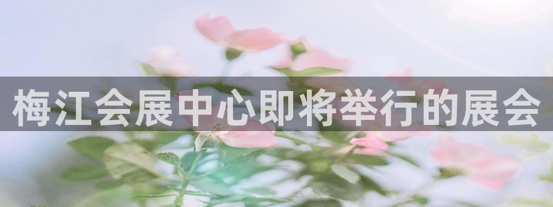 果博平台真实吗安全吗可信吗：梅江会展中心即将举行的展会