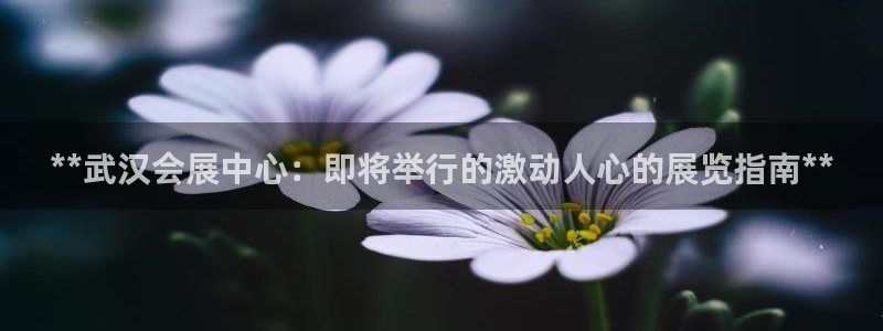 果博客服微信是多少：**武汉会展中心：即将举行的激动人心的展览指南**