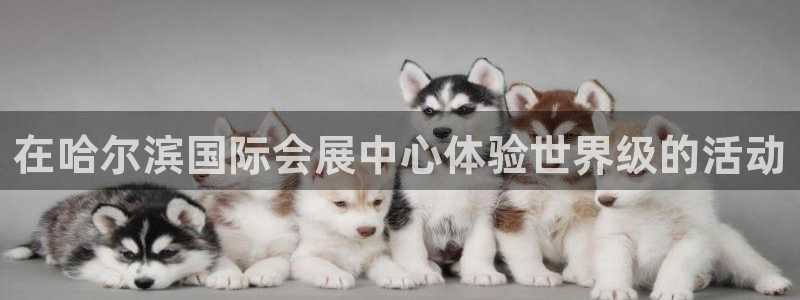 果博手机下载网址：在哈尔滨国际会展中心体验世界级的活动
