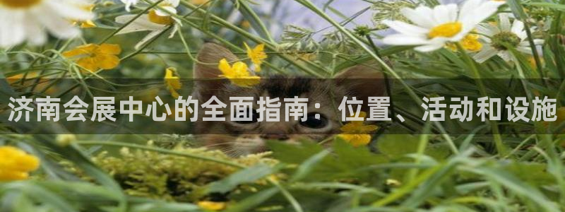 果博总台电话：济南会展中心的全面指南：位