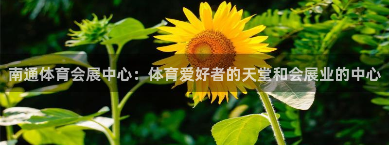 果博公司开户注册：南通体育会展中心：体育爱好者的天堂和会展业的中心