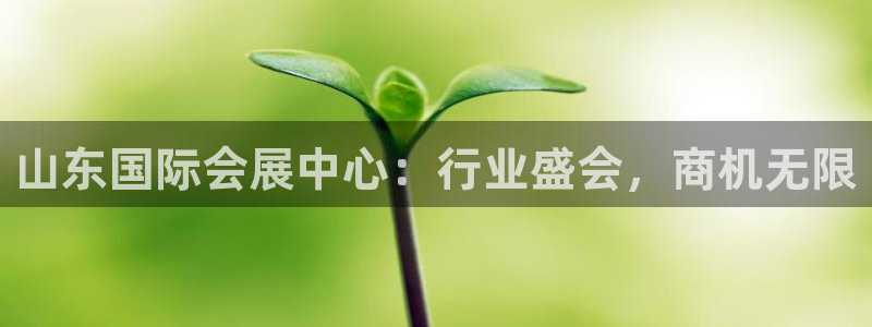 果博公司在线客服：山东国际会展中心：行业