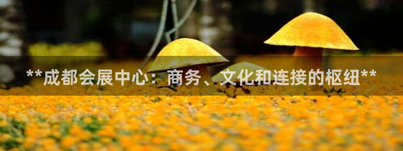 果博东官方网站怎么下载：**成都会展中心：商务、文化和连接的枢纽**