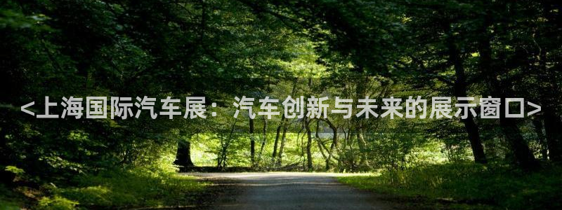果博有假吗：<上海国际汽车展：汽车创新与未来的展示窗口>