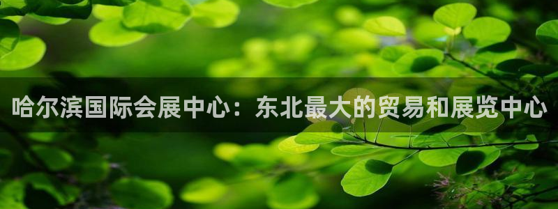 果博公司开户热线：哈尔滨国际会展中心：东北最大的贸易和展览中心
