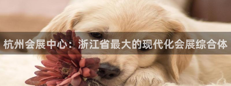 果博注册账号链接：杭州会展中心：浙江省最