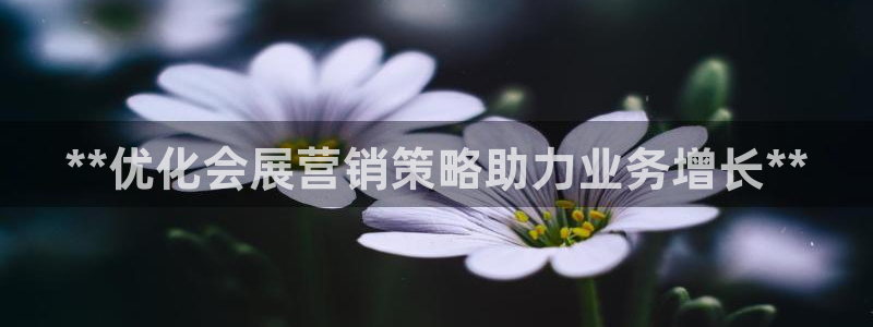 果博平台怎么下载?：**优化会展营销策略助力业务增长**
