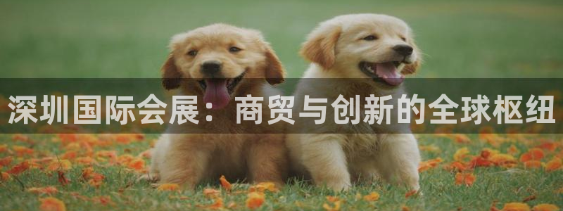 果博公司网站：深圳国际会展：商贸与创新的全球枢纽