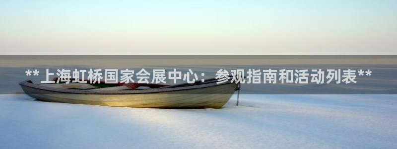 果博注册会员：**上海虹桥国家会展中心：参观指南和活动列表**