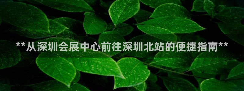 苹果手机能下载果博吗：**从深圳会展中心前往深圳北站的便捷指南**