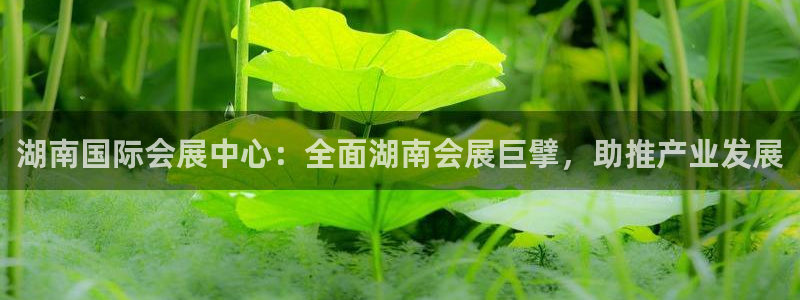 果博注册平台怎么注册：湖南国际会展中心：全面湖南会展巨擘，助推产业发展