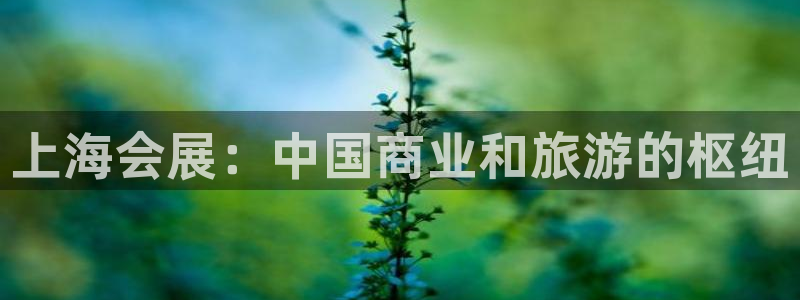 果博公司怎么开户：上海会展：中国商业和旅