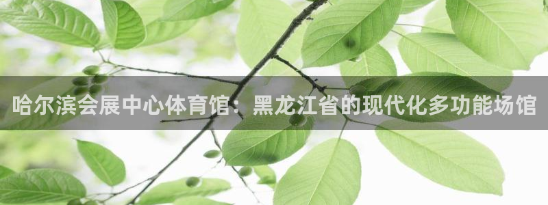 果博公司客服怎么样：哈尔滨会展中心体育馆