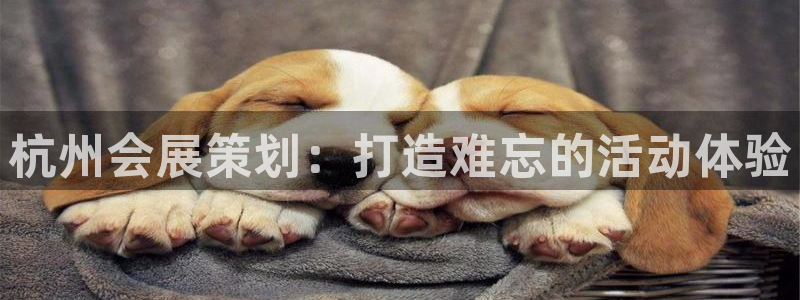 果博公司上分客服：杭州会展策划：打造难忘的活动体验
