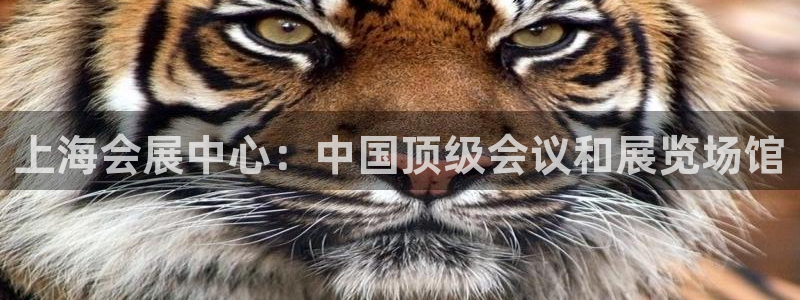 果博注册客服电话号码：上海会展中心：中国顶级会议和展览场馆