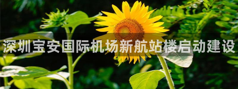 果博平台真实吗安全吗：深圳宝安国际机场新