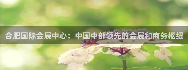 果博官网首页