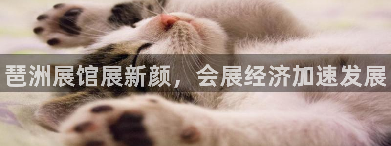 果博代理网