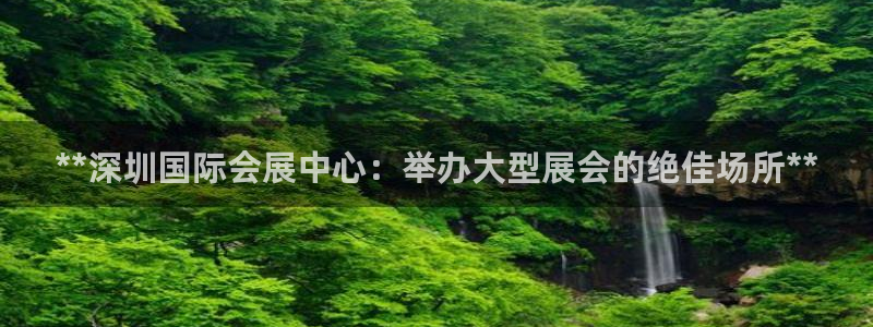 果博gbe168：**深圳国际会展中心：举办大型展会的绝佳场所**