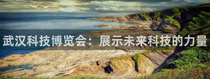 果博平台真实吗安全吗是真的吗：武汉科技博览会：展示未来科技的力量