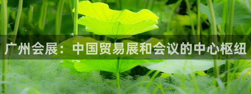 果博注册客服电话号码查询：广州会展：中国贸易展和会议的中心枢纽