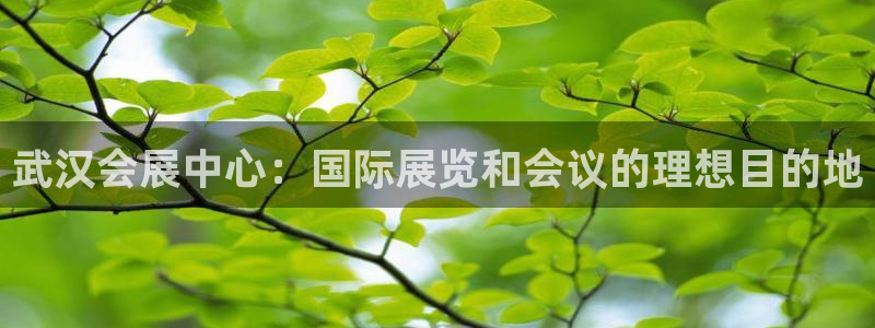 果博注册充值怎么充：武汉会展中心：国际展览和会议的理想目的地