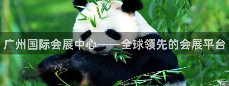 果博怎么注册账号：广州国际会展中心——全球领先的会