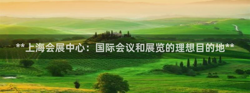 果博怎么注册账号：**上海会展中心：国际会议和展览的理想目的地**
