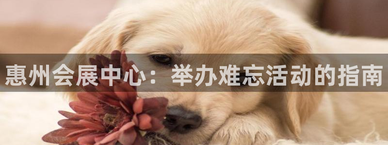 果博官方：惠州会展中心：举办难忘活动的指