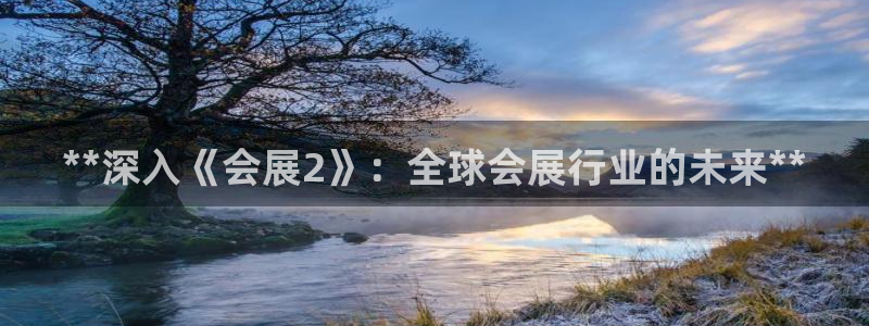 果博公司注册：**深入《会展2》：全球会展行业的未来**
