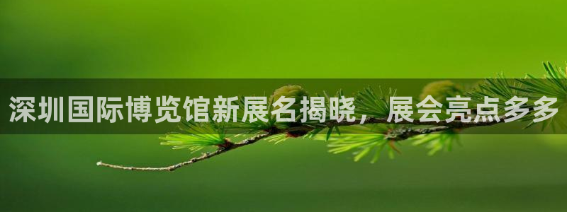 果博平台真实吗知乎：深圳国际博览馆新展名