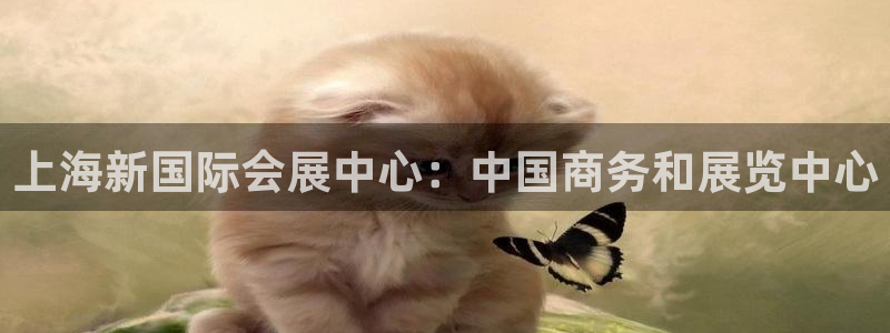 果博注册充值怎么退款：上海新国际会展中心