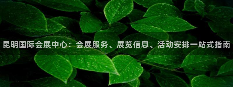 果博注册链接：昆明国际会展中心：会展服务、展览信息、活动安排一站式指南
