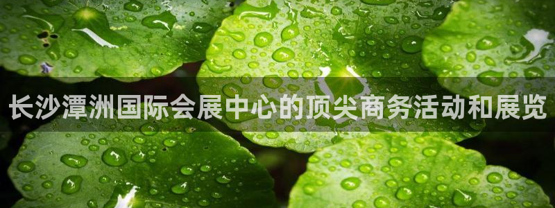 果博客服电话：长沙潭洲国际会展中心的顶尖商务活动和展览
