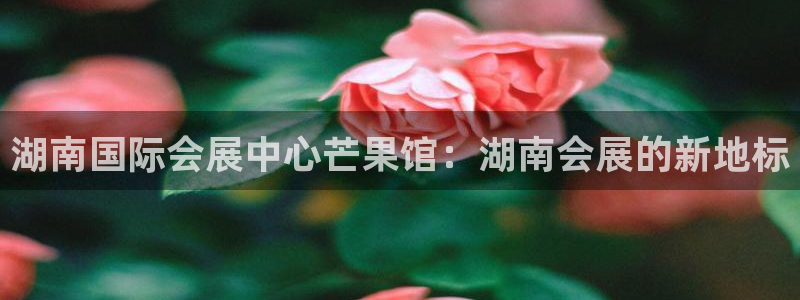 果博官网：湖南国际会展中心芒果馆：湖南会展的新地标