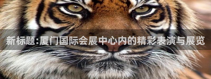 果博app官网下载：新标题:厦门国际会展中心内的精彩表演与展览