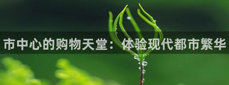 果博注册账号链接：市中心的购物天堂：体验现代都市繁华