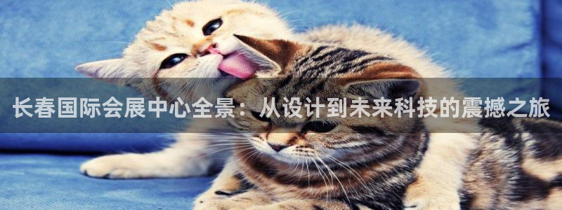 果博公司在线客服：长春国际会展中心全景：