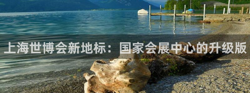 果博是怎么登录的：上海世博会新地标：国家