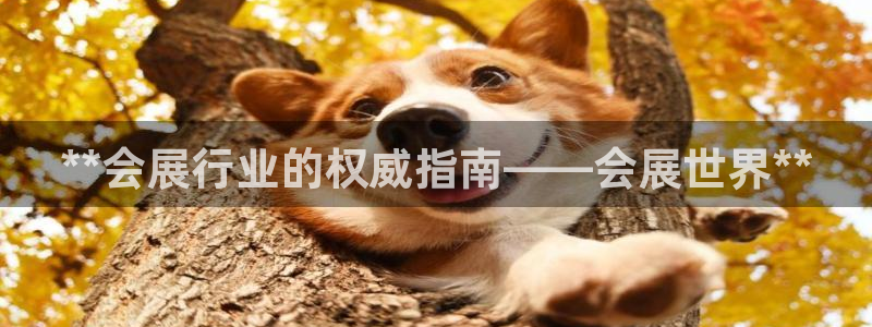 果博公司开户热线：**会展行业的权威指南——会展世界**