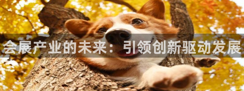 果博公司怎么开户：会展产业的未来：引领创新驱动发展