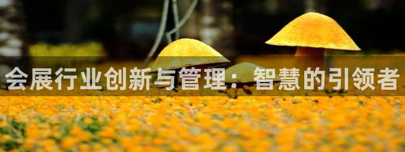 果博平台怎么下载?：会展行业创新与管理：