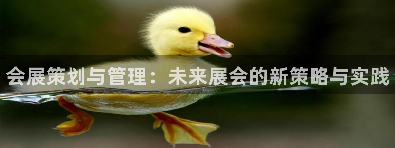 电脑怎么下载果考网：会展策划与管理：未来